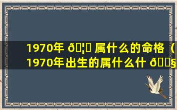 1970年 🦍 属什么的命格（1970年出生的属什么什 🐧 么命）